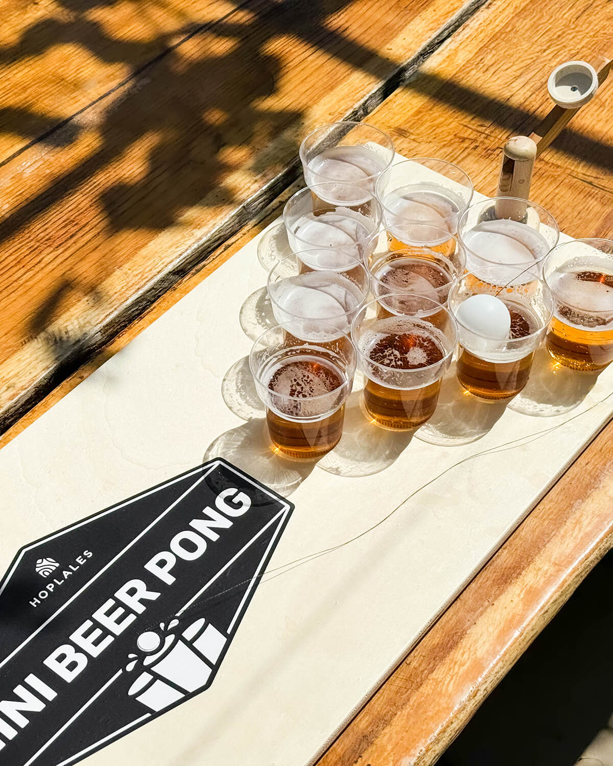 Portable Wooden Mini Beer Pong Set